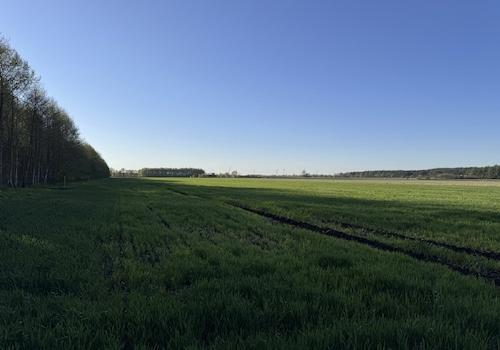 Ansicht II
