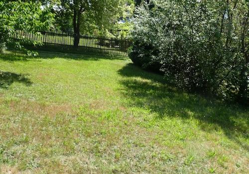 Wiese hinter dem Haus