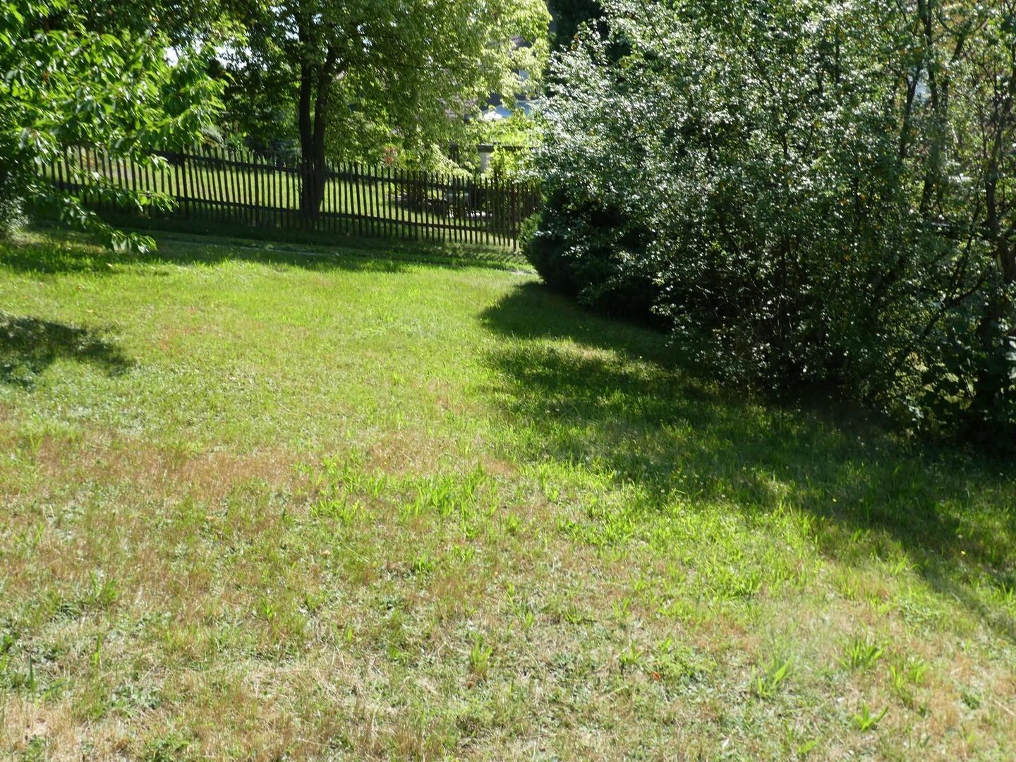 Wiese hinter dem Haus