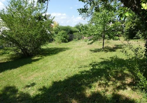 Wiese hinter dem Haus