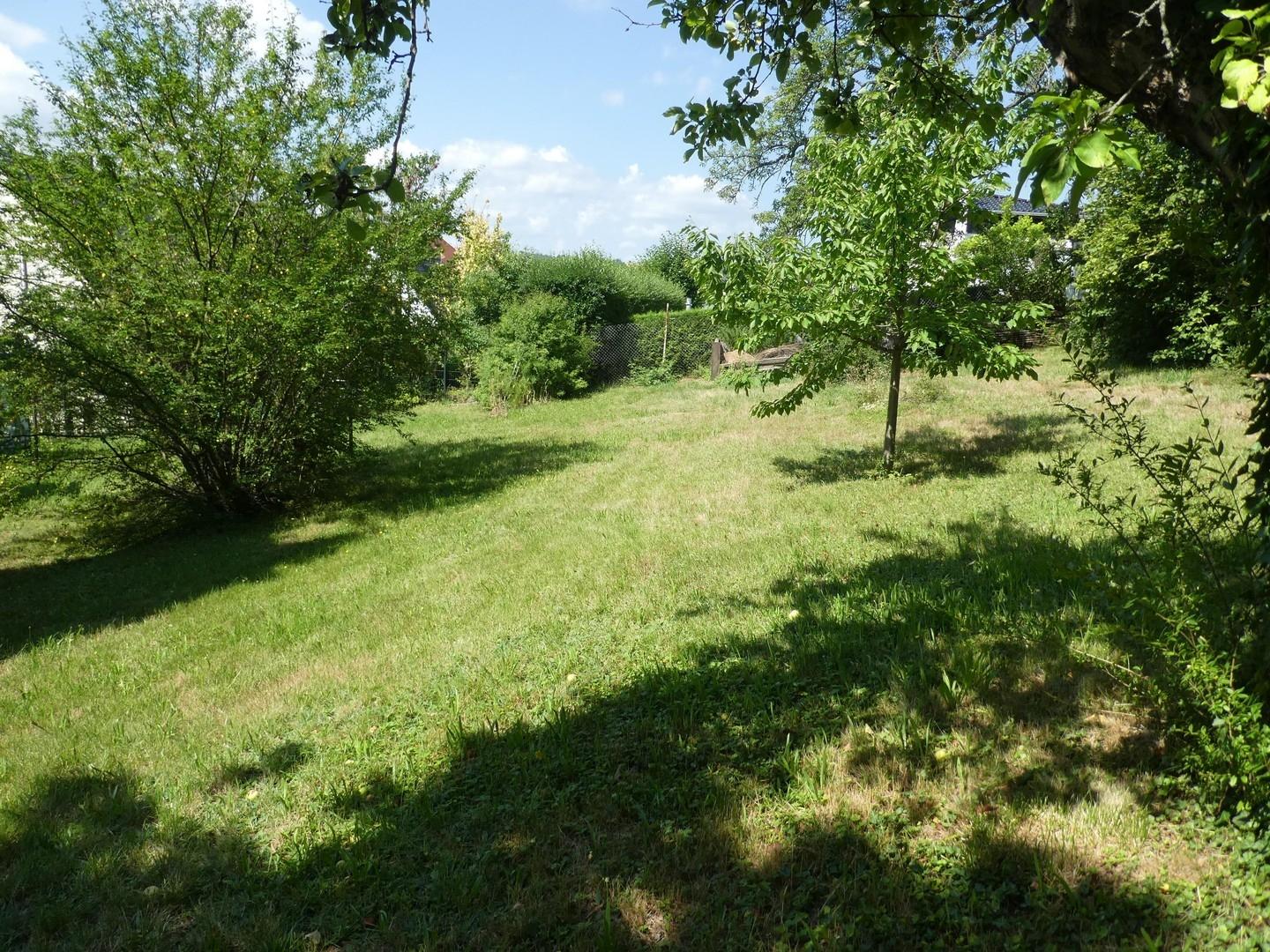 Wiese hinter dem Haus