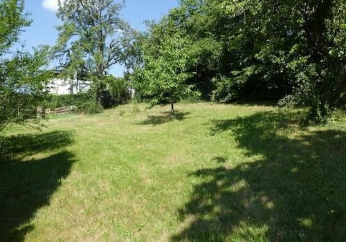 Wiese hinter dem Haus
