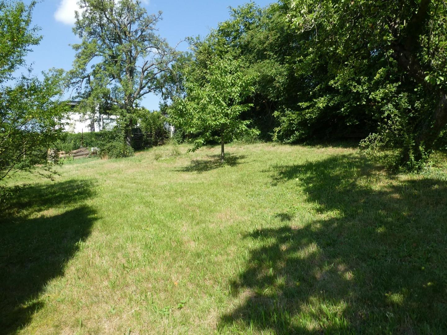 Wiese hinter dem Haus