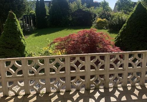 Blick in Garten