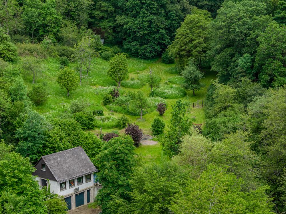 DJI_20260610110058_0114_D-HDR