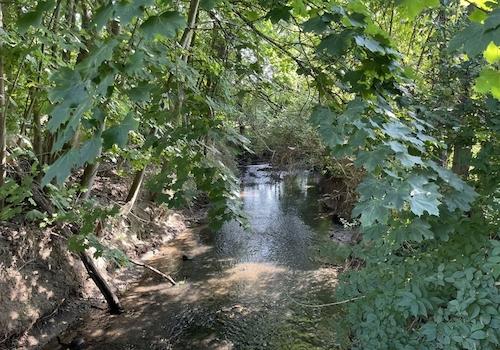 Mühlenbach