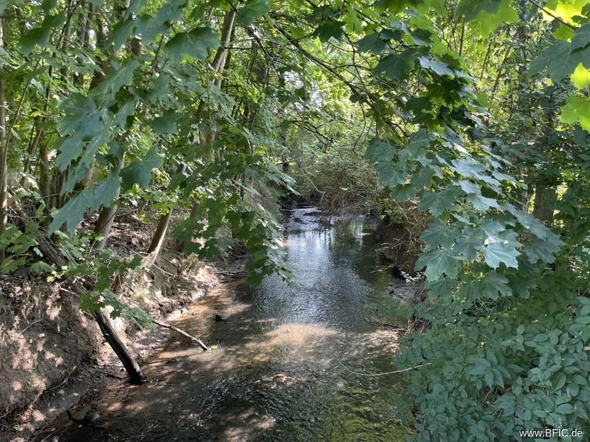 Mühlenbach