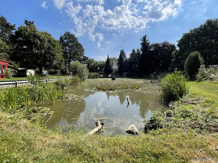 Teich