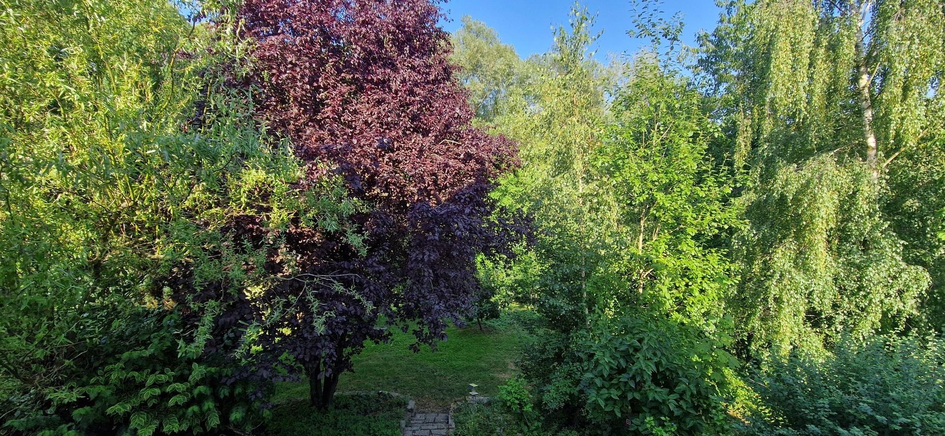 Blick aus dem Schlafzimmer