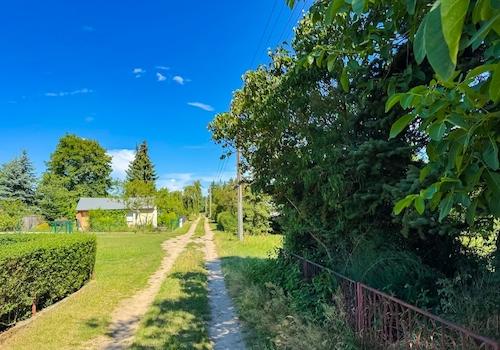 Zufahrt Gartenseite (1)