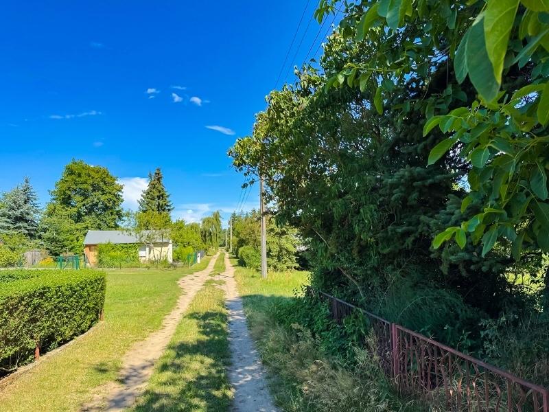 Zufahrt Gartenseite (1)