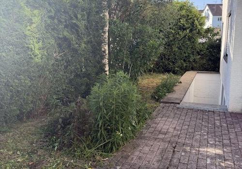 Außenansicht / Garten