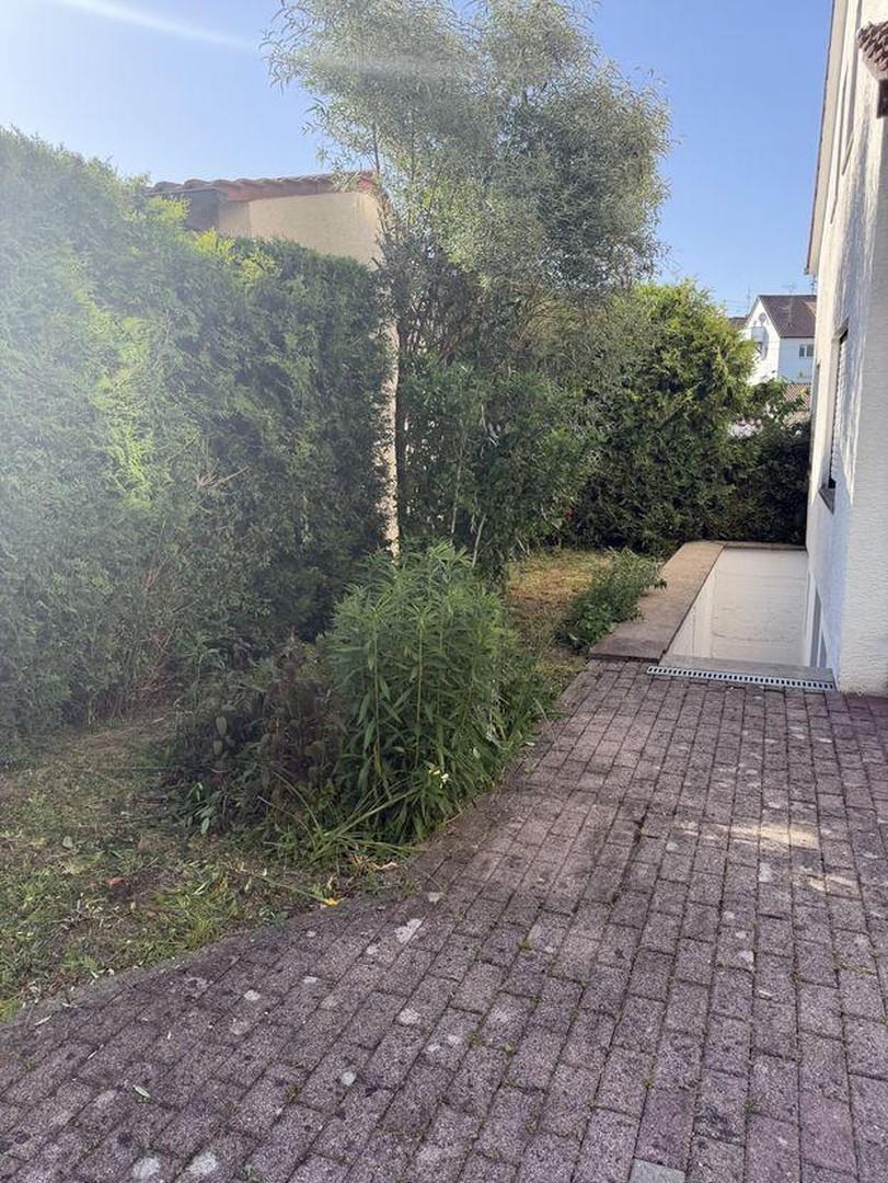 Außenansicht / Garten