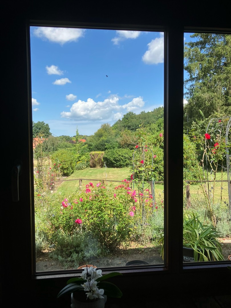 Blick aus dem Küchenfenster