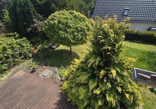 Aussicht OG in Garten