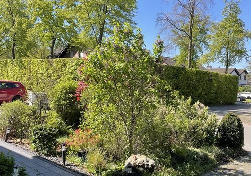 Blick in den Vorgarten