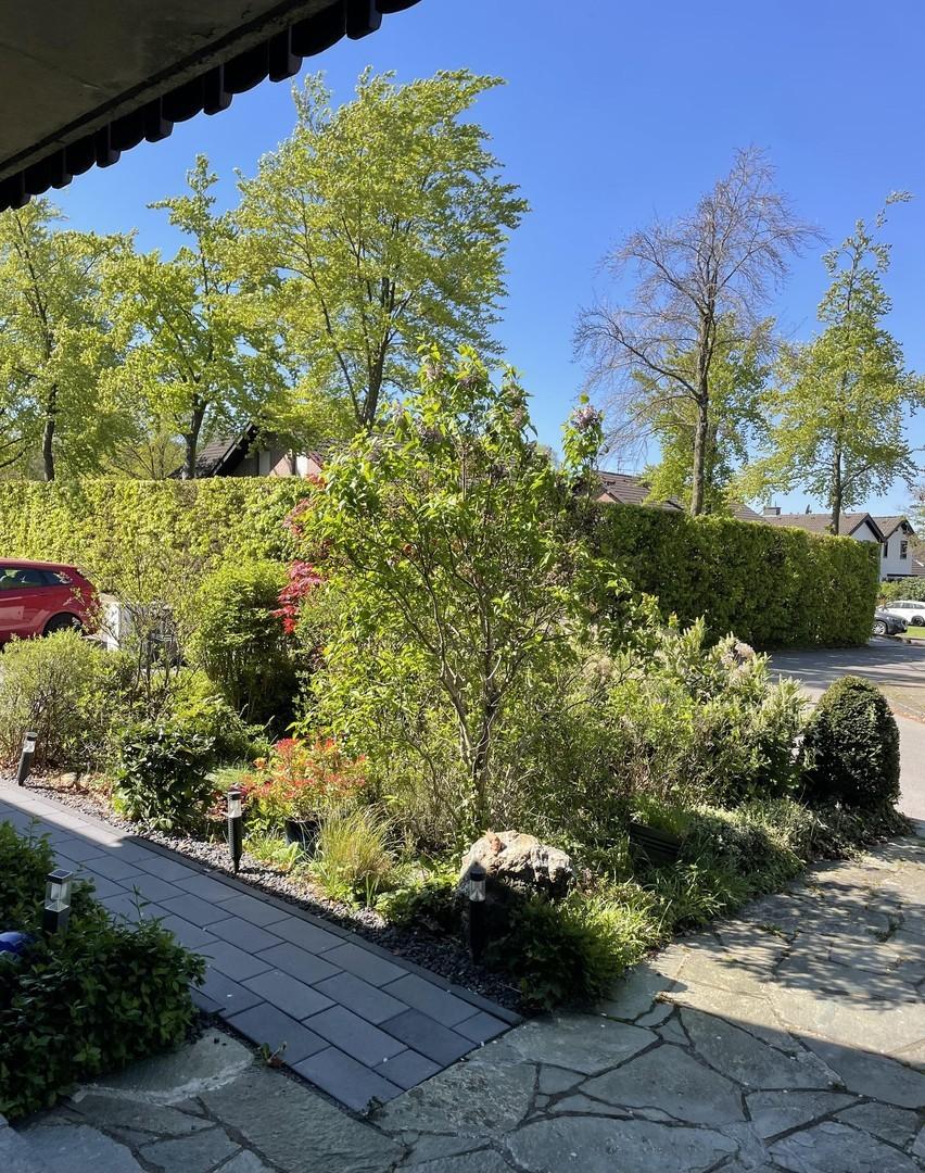 Blick in den Vorgarten