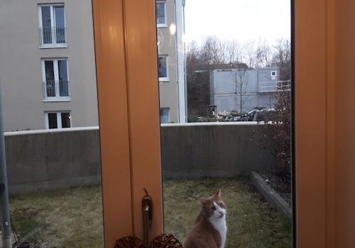 Blick aus Wohnzimmer