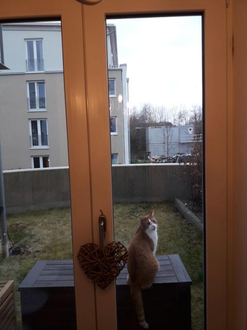 Blick aus Wohnzimmer