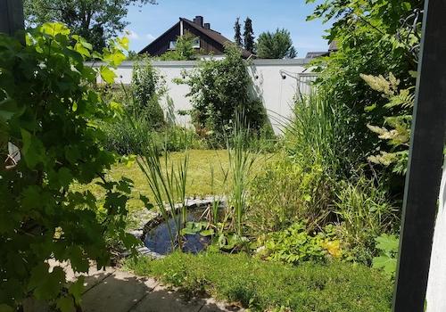 Garten mit Teich
