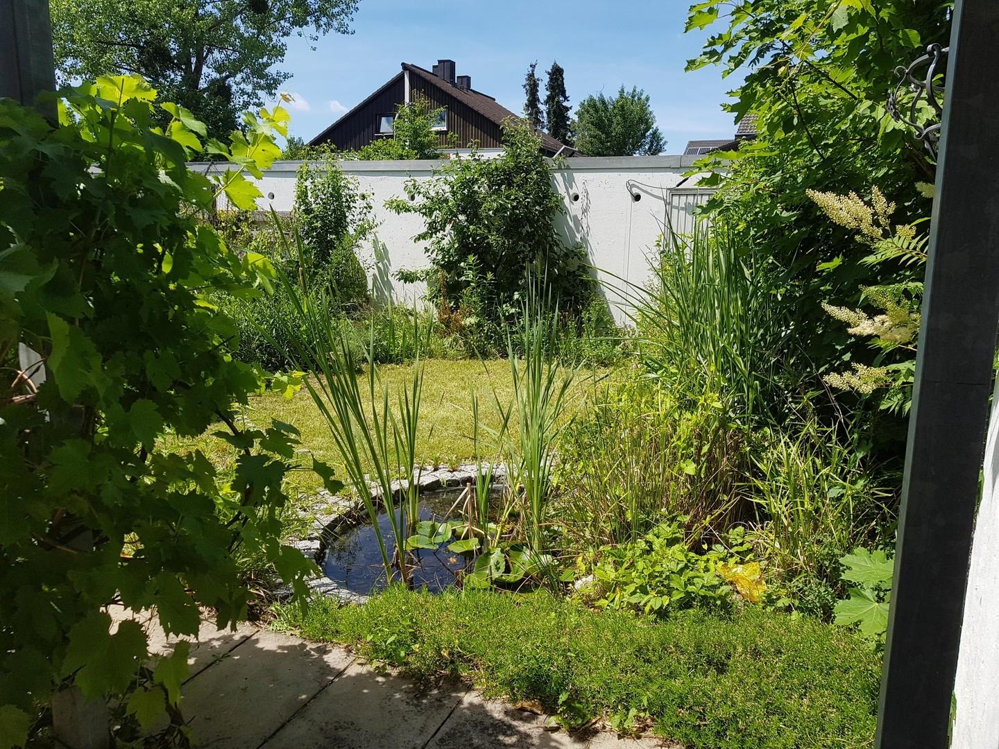 Garten mit Teich