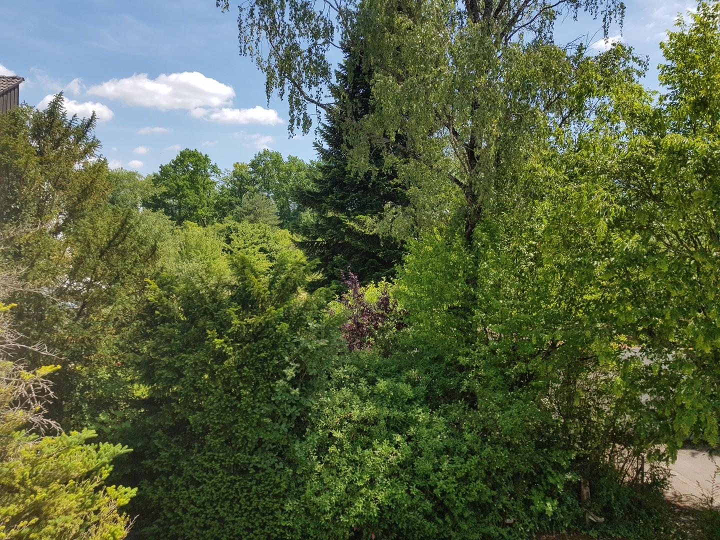 Blick von Schlafen 1