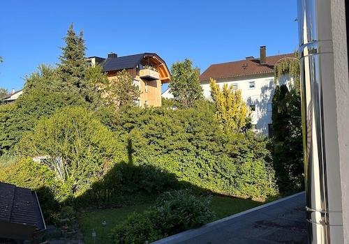 Blick aus dem Fenster ins Grün