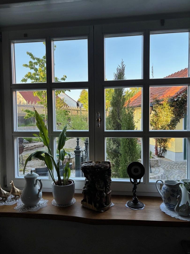 Blick aus der neuen Wohnküche