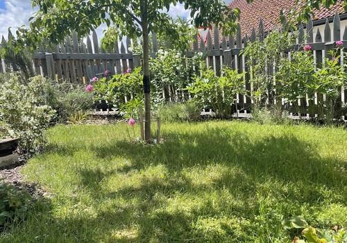 Der Garten