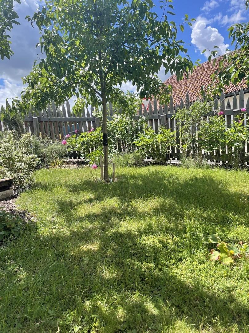 Der Garten