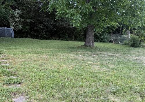 Allgemeiner Garten
