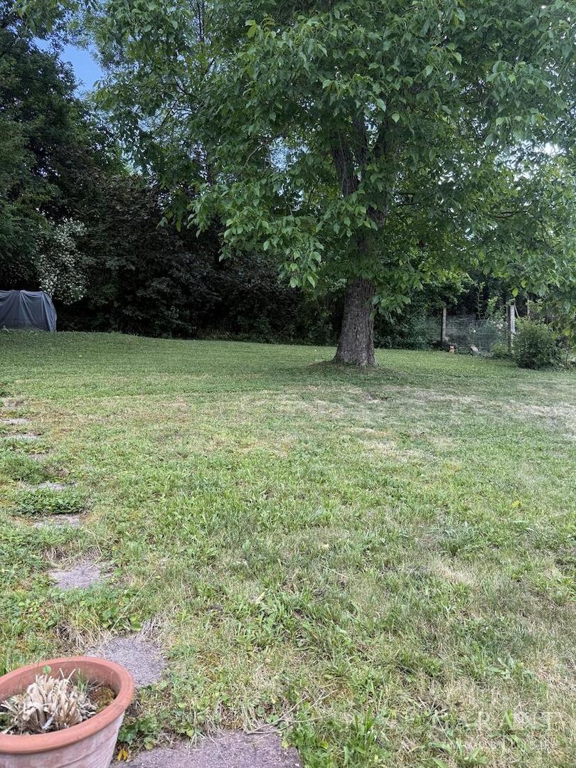 Allgemeiner Garten