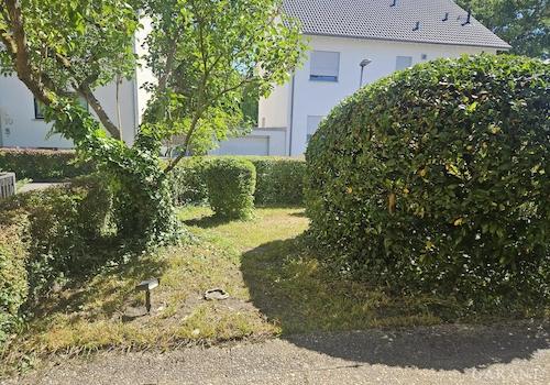 Südgarten