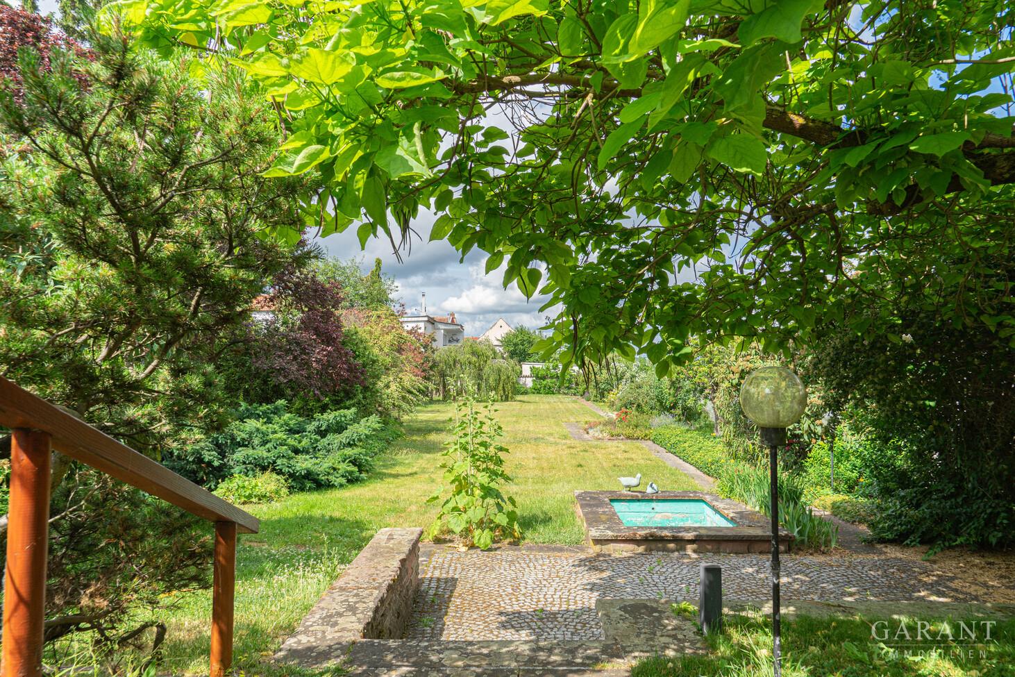 Blick in den Garten (1 von 1)