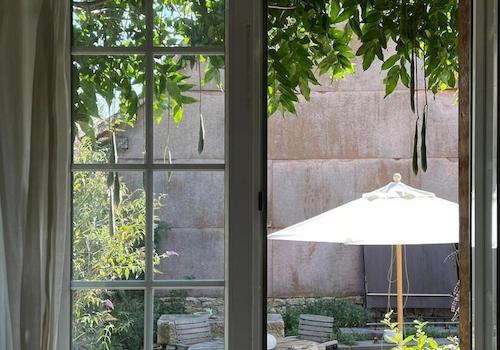 Blick in den Garten
