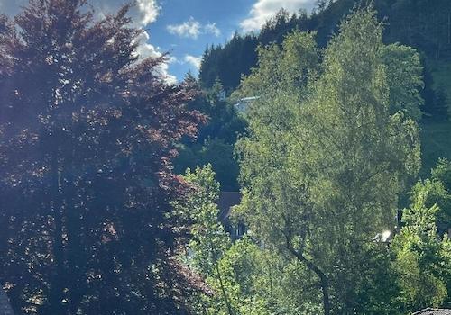 Ausblick