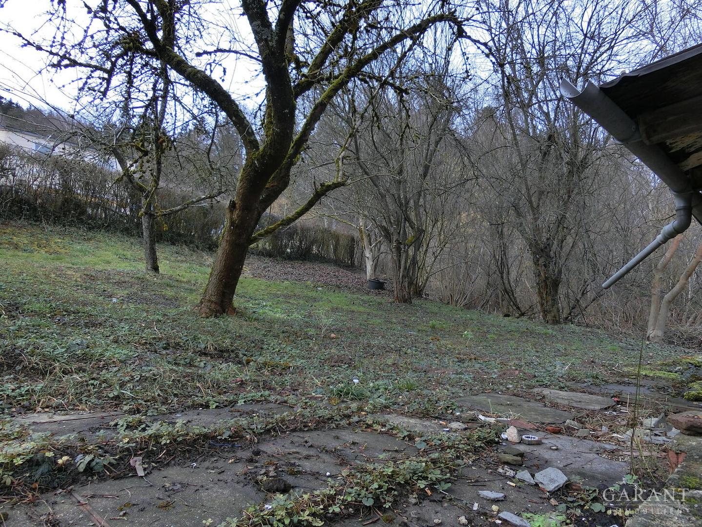 CIMG1165