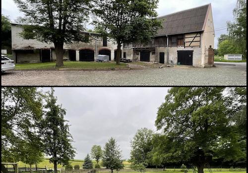 Innenhof   Garten