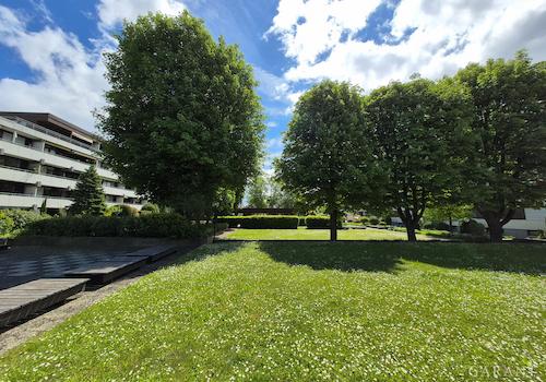 Blick in den Park