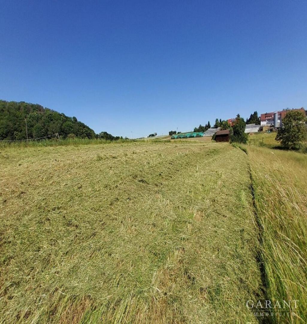 Wiese mit Schuppen