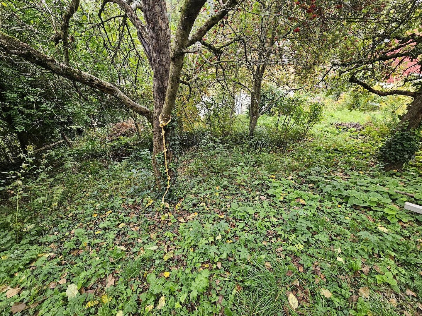 Sommergarten