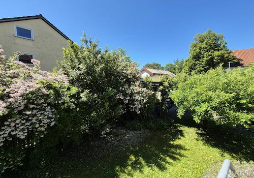 Garten 3