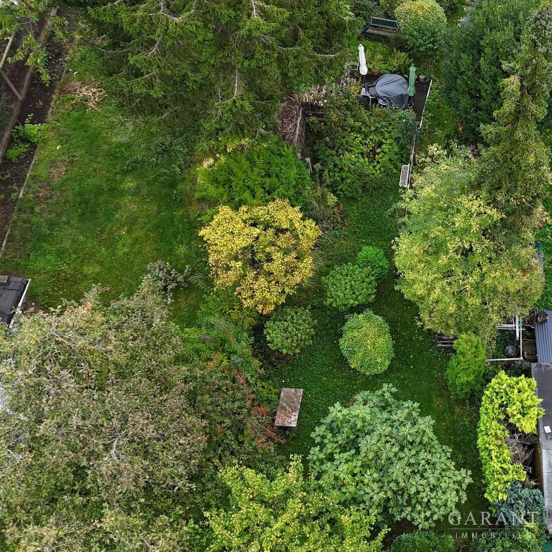 Garten Draufsicht