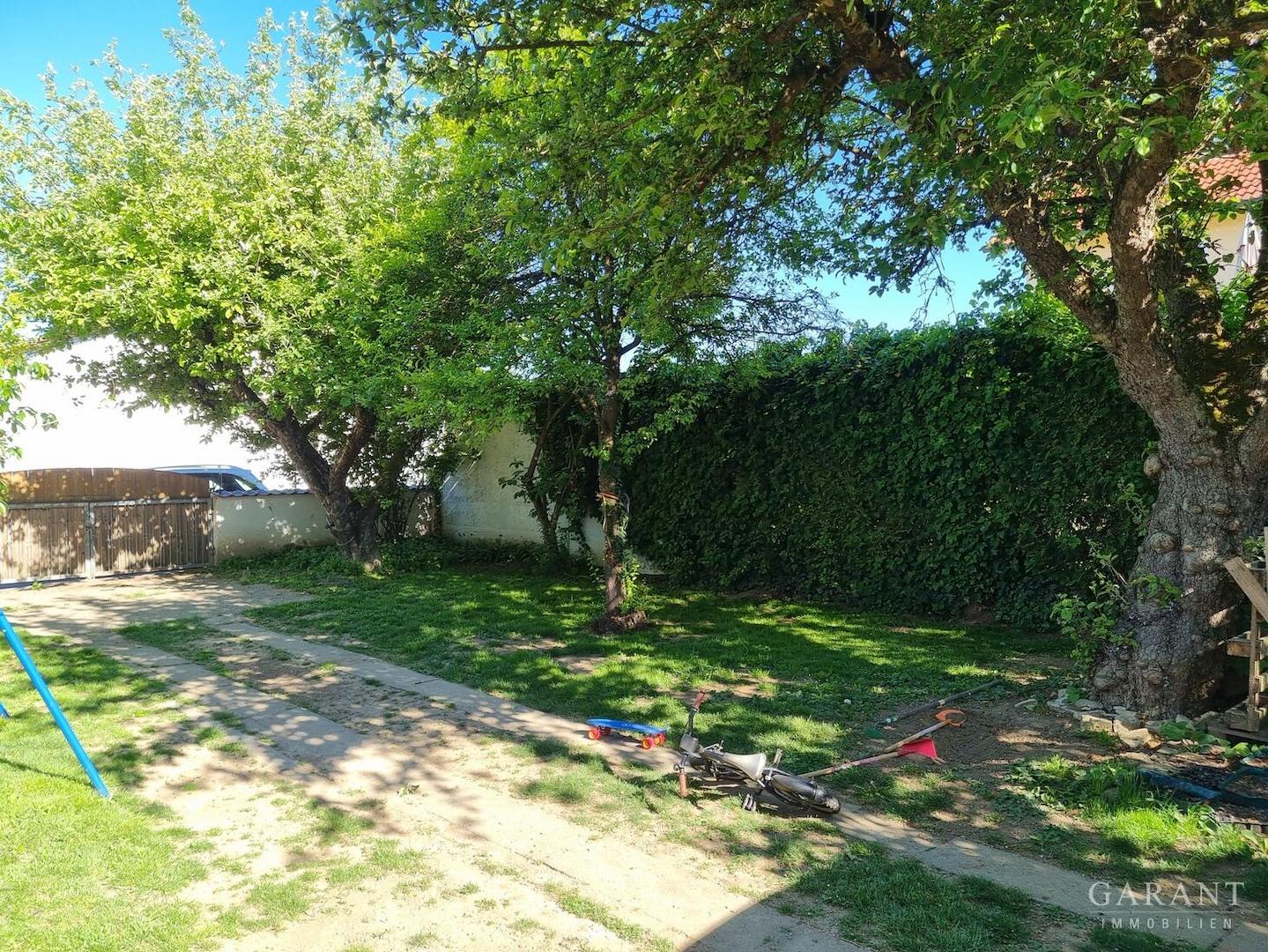 Einfahrt mit Garten