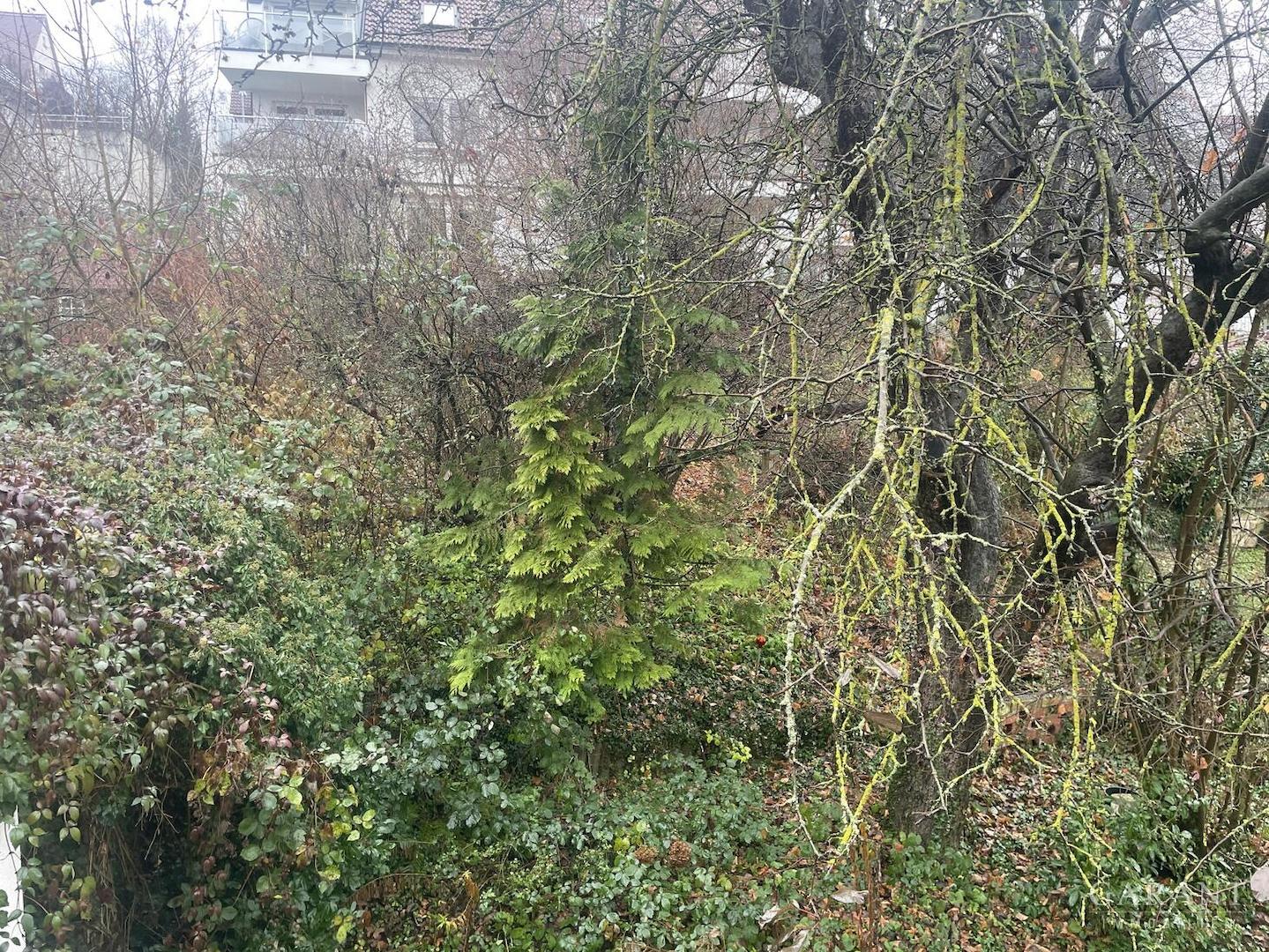 Grundstück