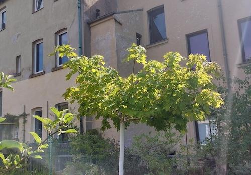 Rückansicht
