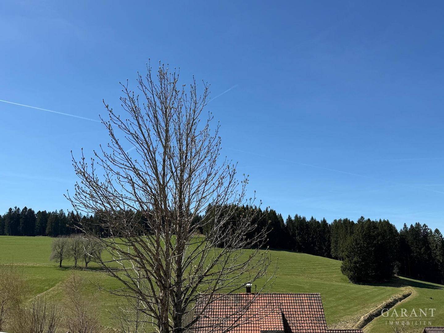 Baugrundstück