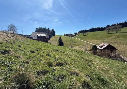 Baugrundstück