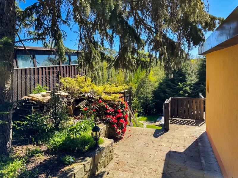 Zu Terrasse, Pool & Garten