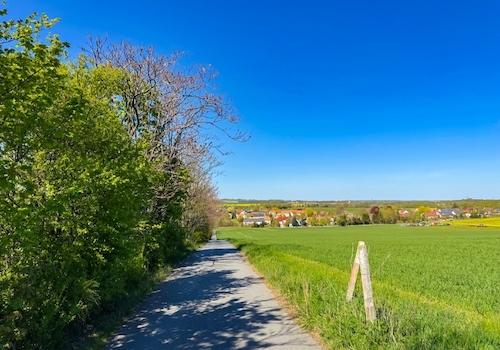Zurück nach Gnaschwitz